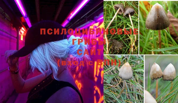 прущая мука Алексин